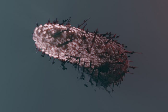 virus de la rabia