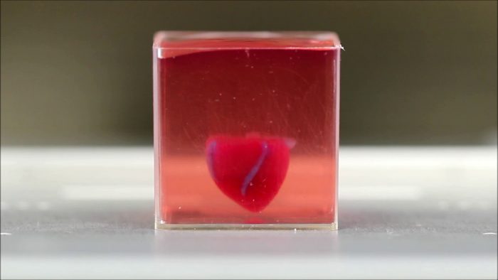 Mini corazón impreso